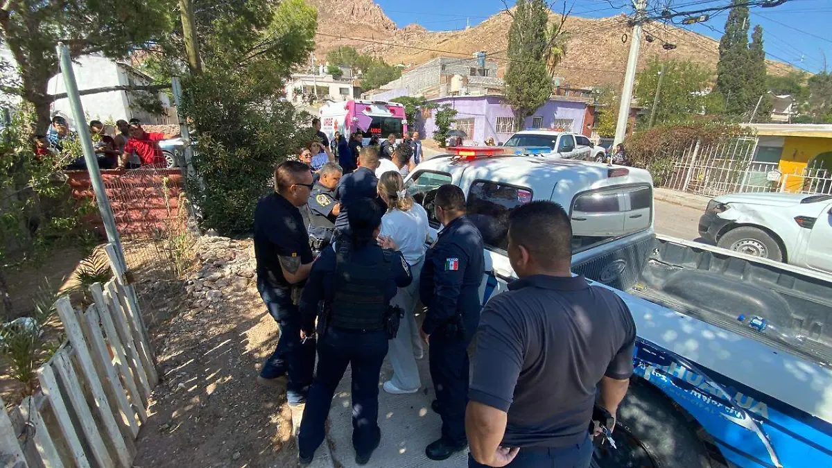 WhatsApp Image 2024-06-10 at 4.00.41 PM