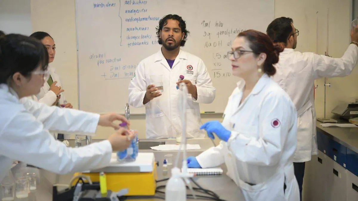 WhatsApp Image 2024-07-10 at 1.59.04 PM