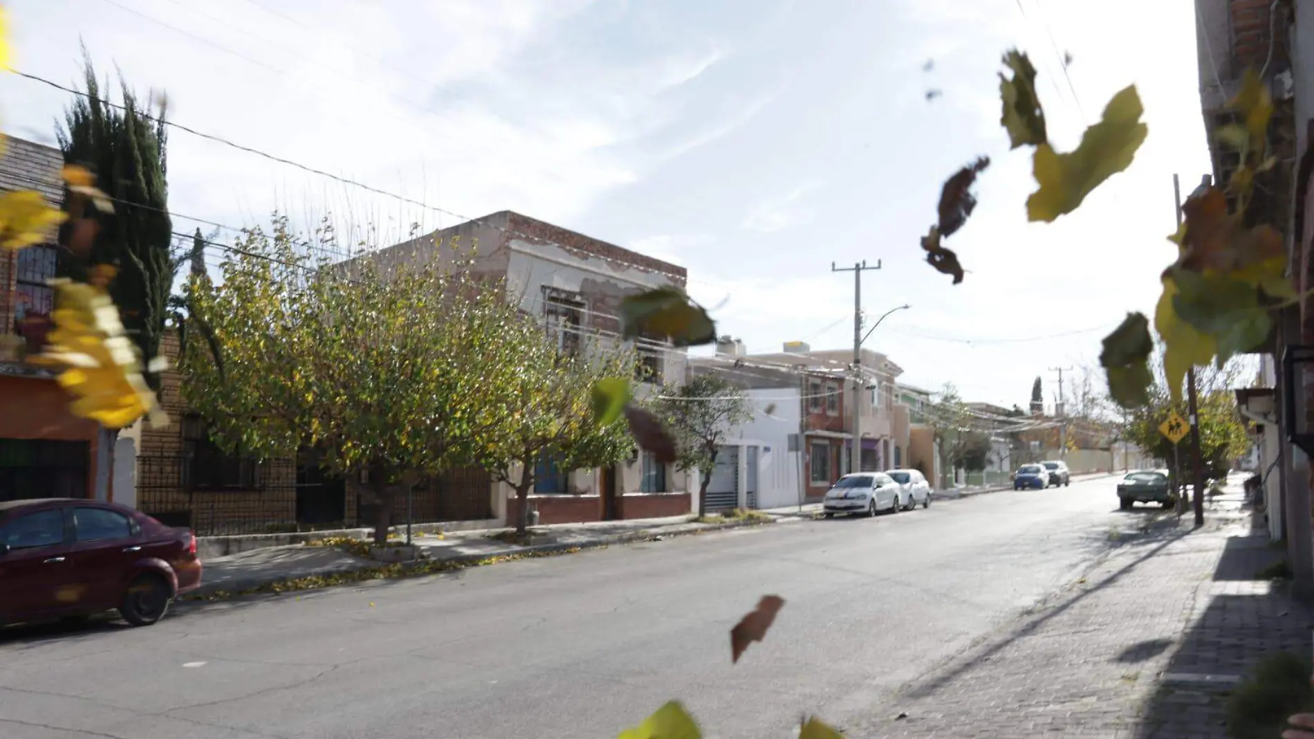 viento