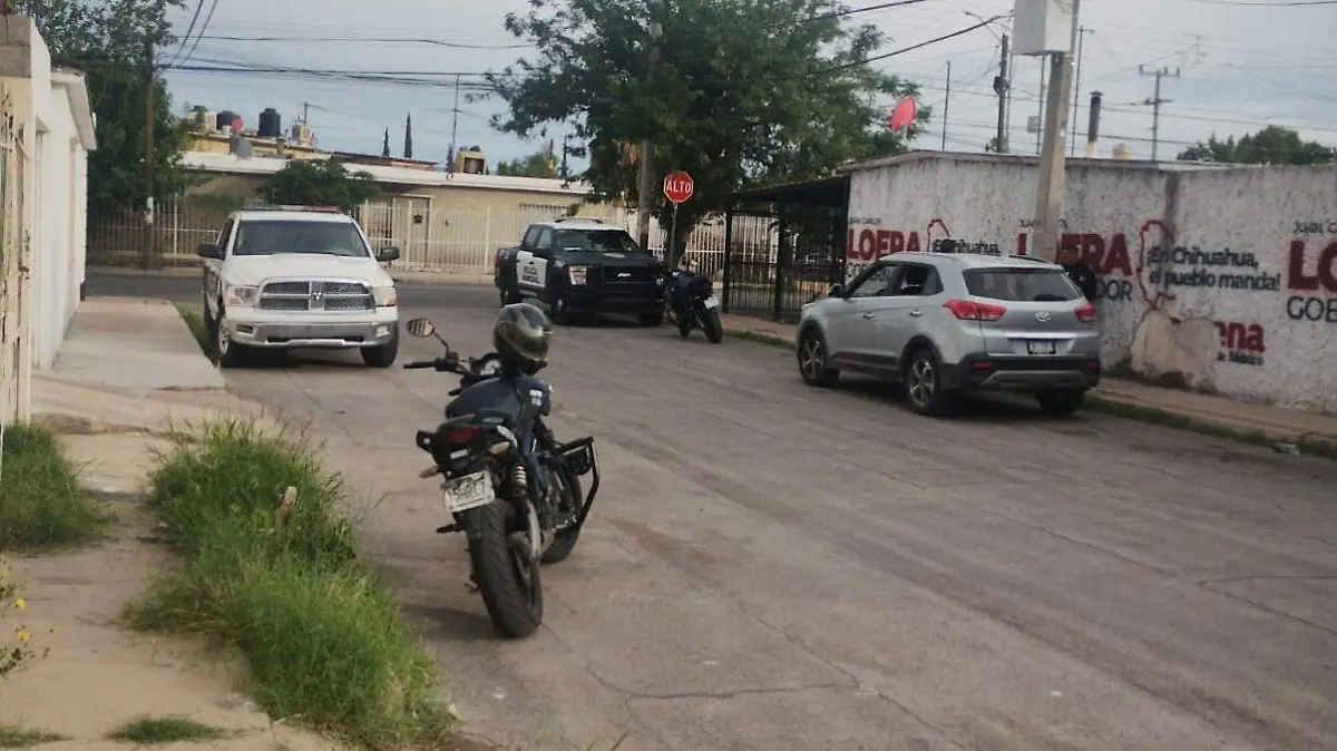 WhatsApp Image 2024-07-14 at 8.44.04 PM