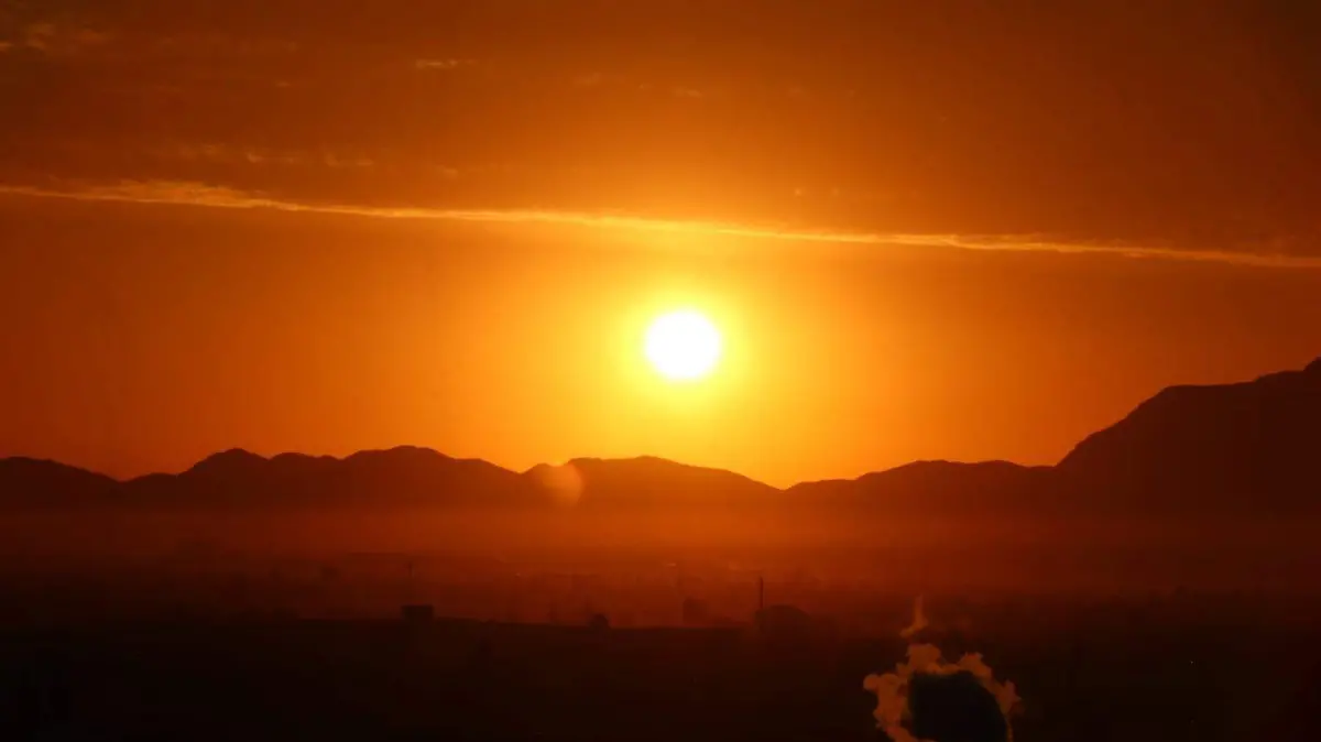 WhatsApp Image 2024-04-30 at 8.03.24 AM