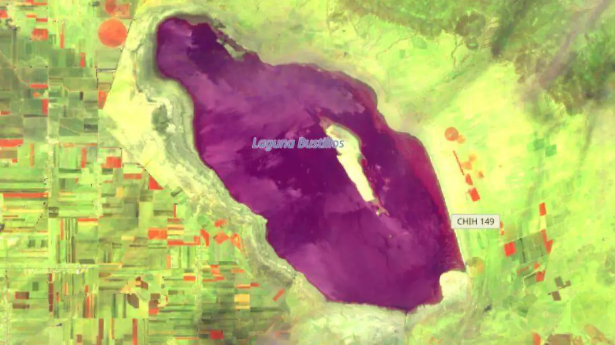 nivel laguna bustillos