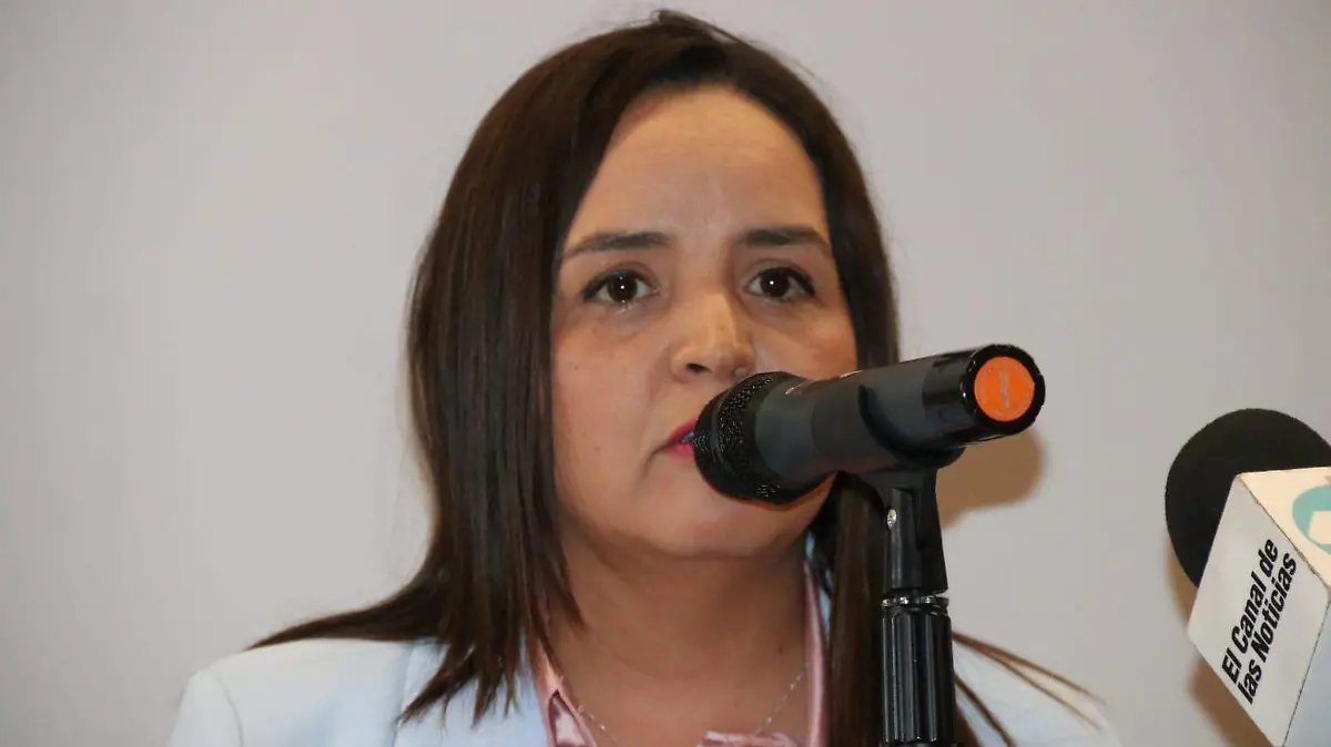 Mónica Herrera Villanueva