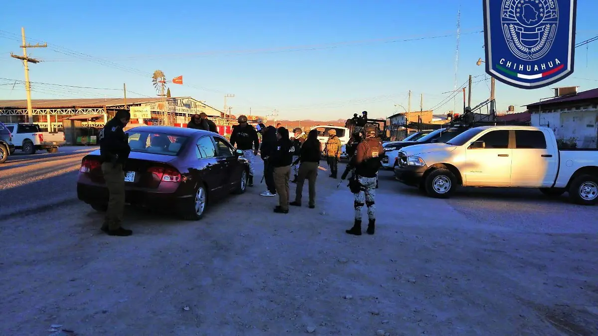 WhatsApp Image 2024-01-19 at 8.17.35 AM