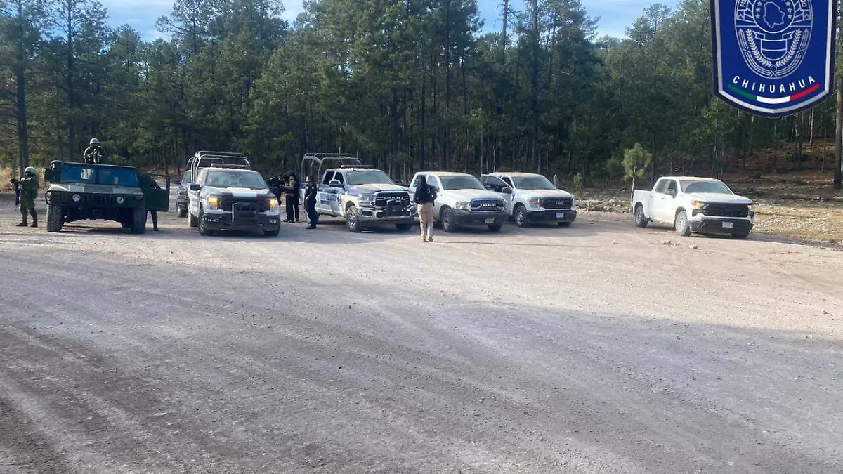 WhatsApp Image 2024-01-03 at 8.20.10 AM