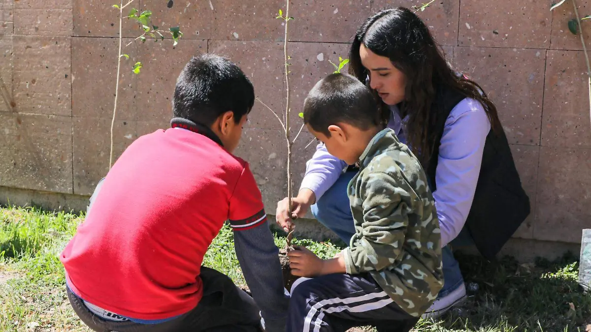 arboles niños Museo Semilla