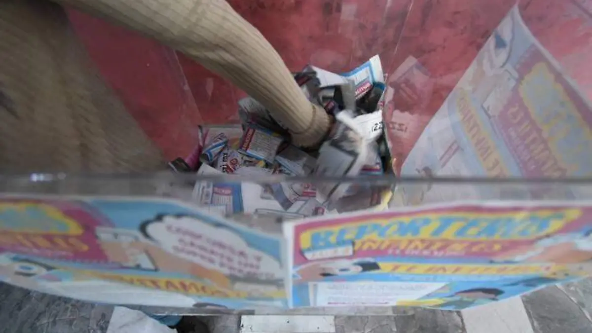 reporteros infantiles (1)