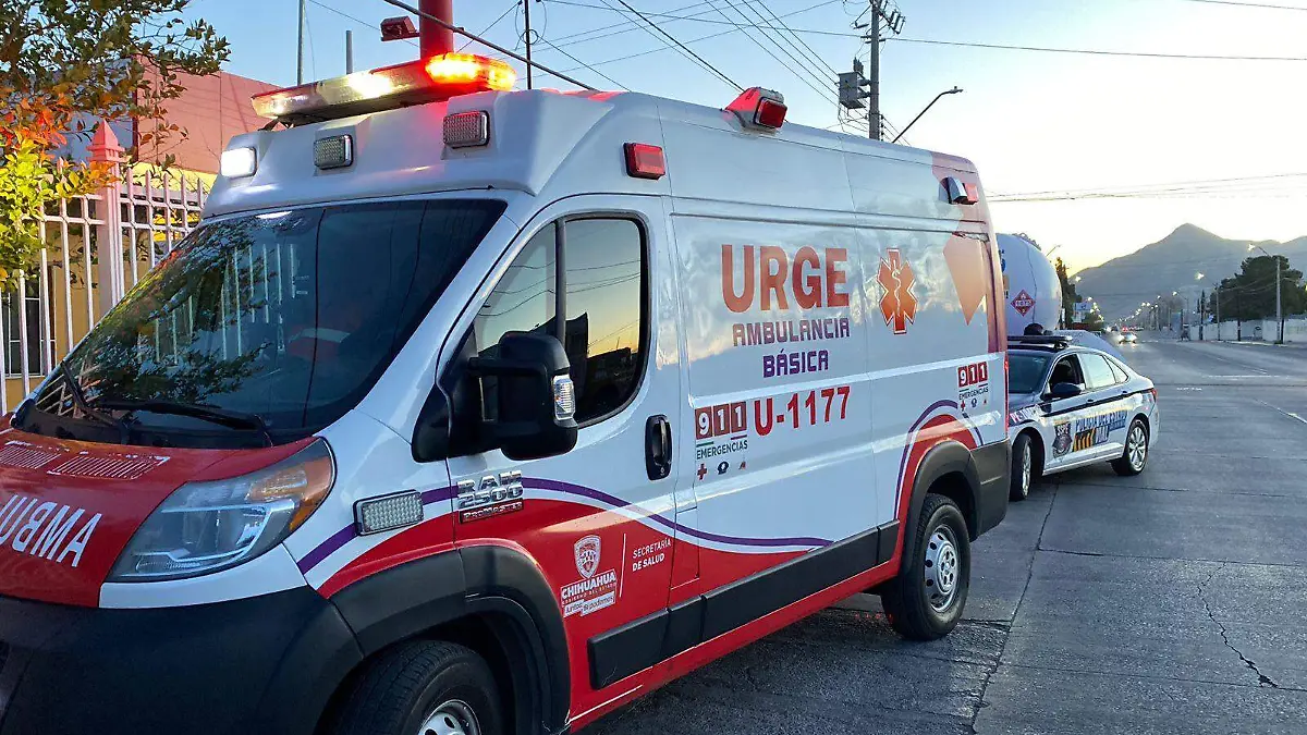 WhatsApp Image 2024-01-12 at 9.37.22 AM