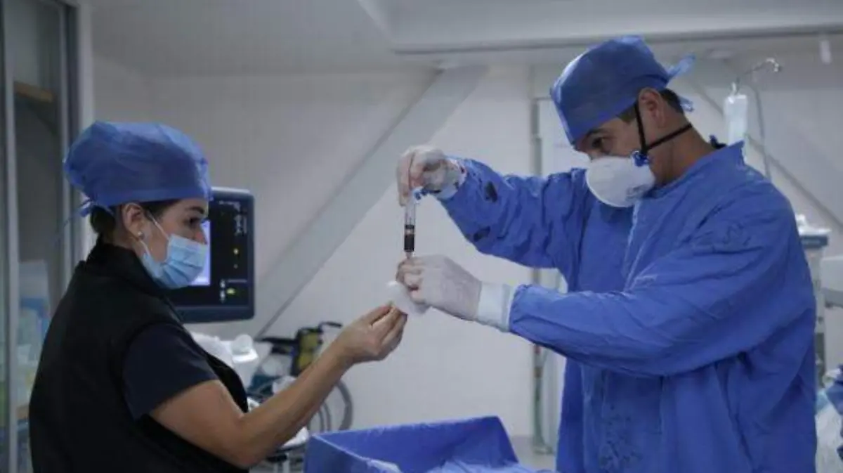 WhatsApp Image 2024-03-02 at 10.49.54 AM