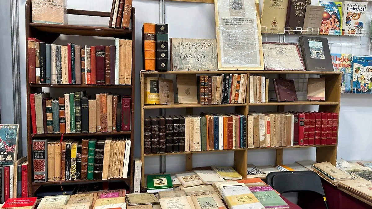 50dfe2db-e9e7-4d98-a910-dcfaa542f8d3