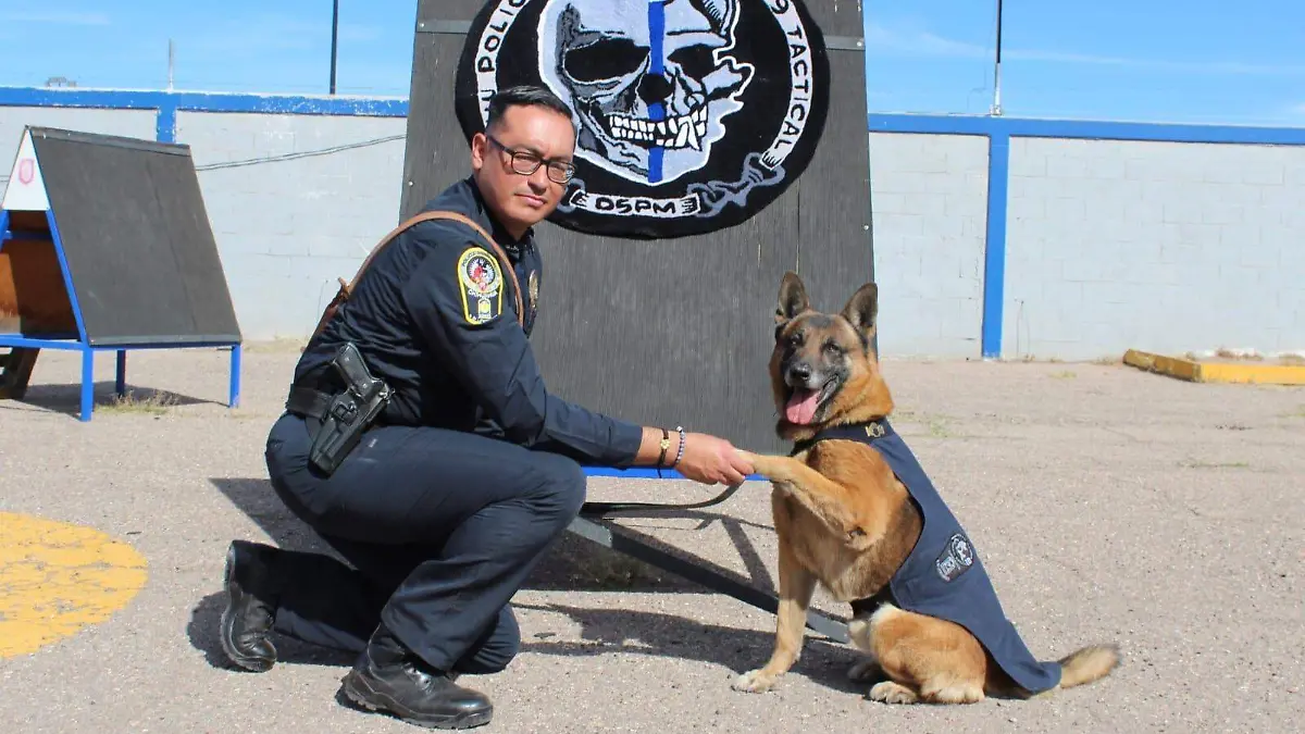 K9