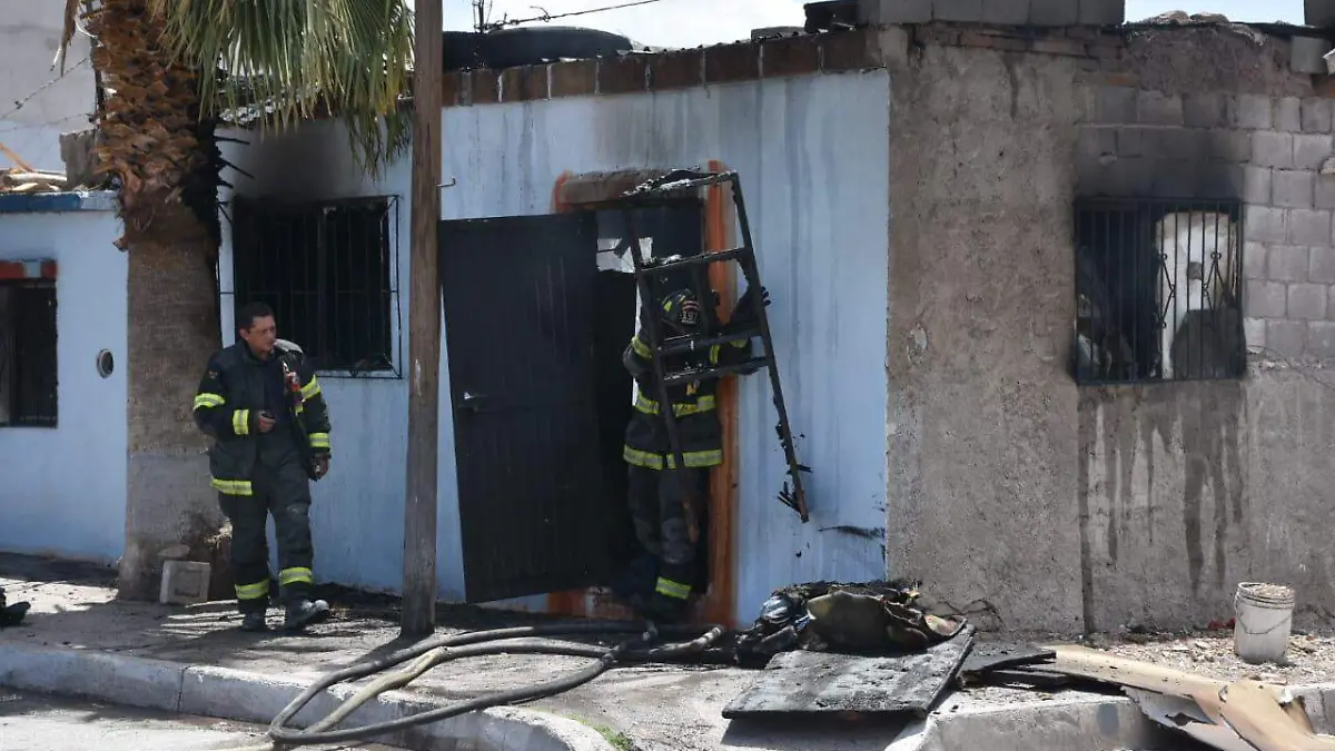 WhatsApp Image 2024-04-22 at 1.46.15 PM (1)