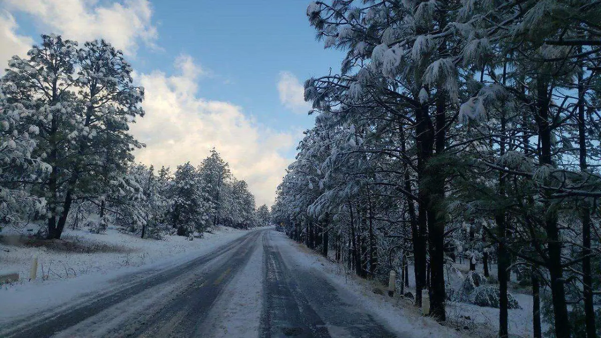 WhatsApp Image 2024-01-24 at 10.27.30 AM