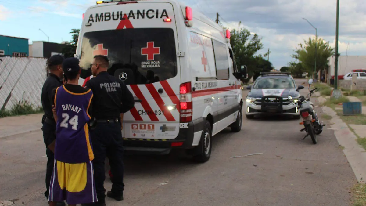 WhatsApp Image 2024-08-14 at 7.21.21 PM (1)