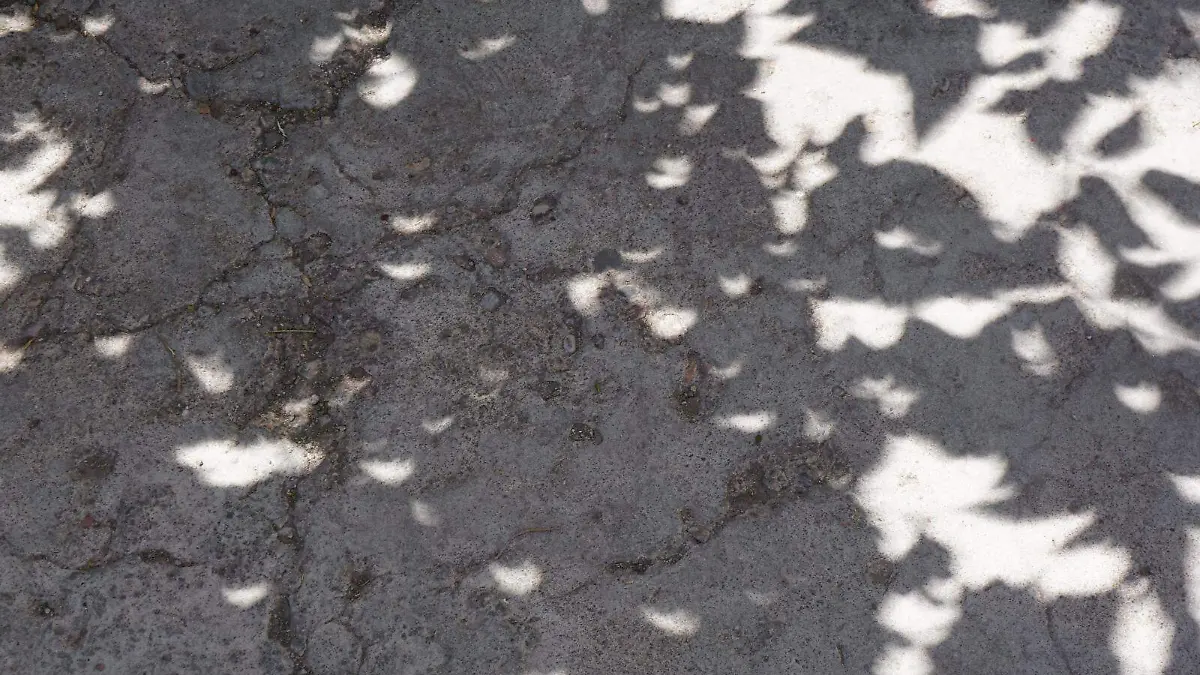 eclipse en delicias