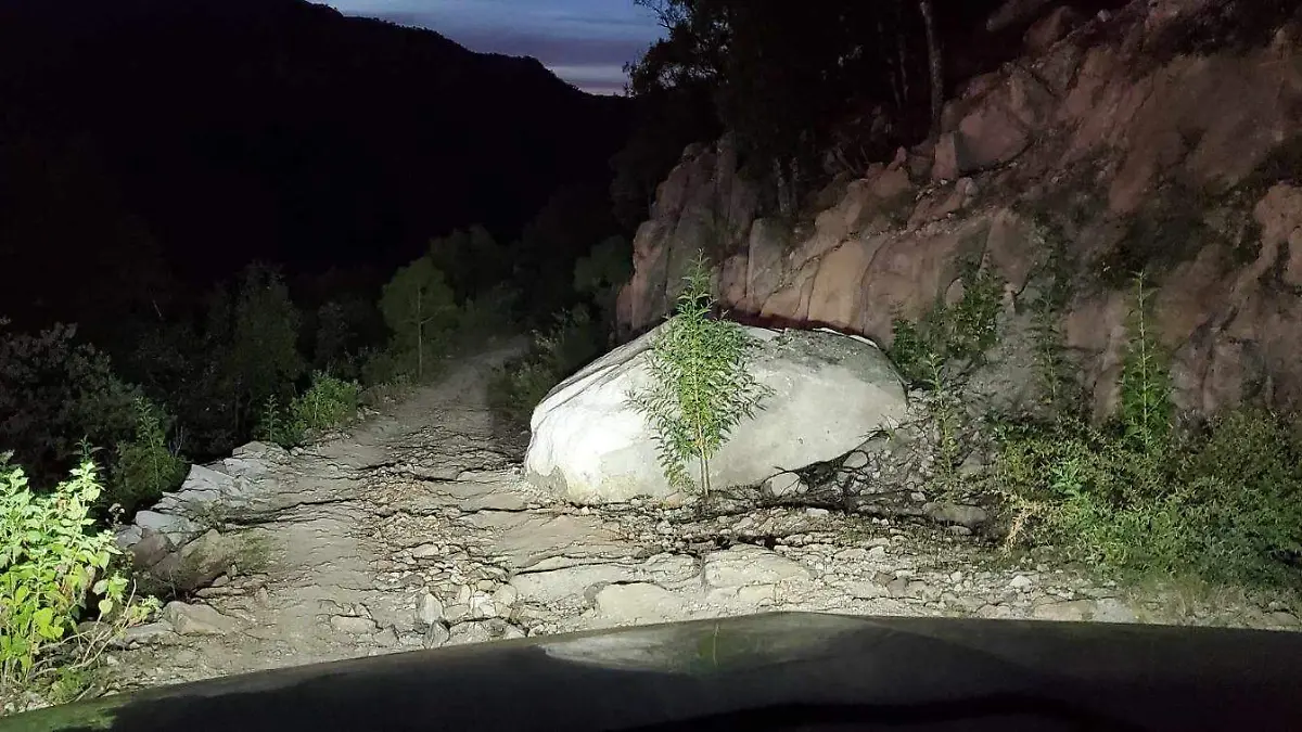 WhatsApp Image 2023-11-25 at 12.26.27 PM