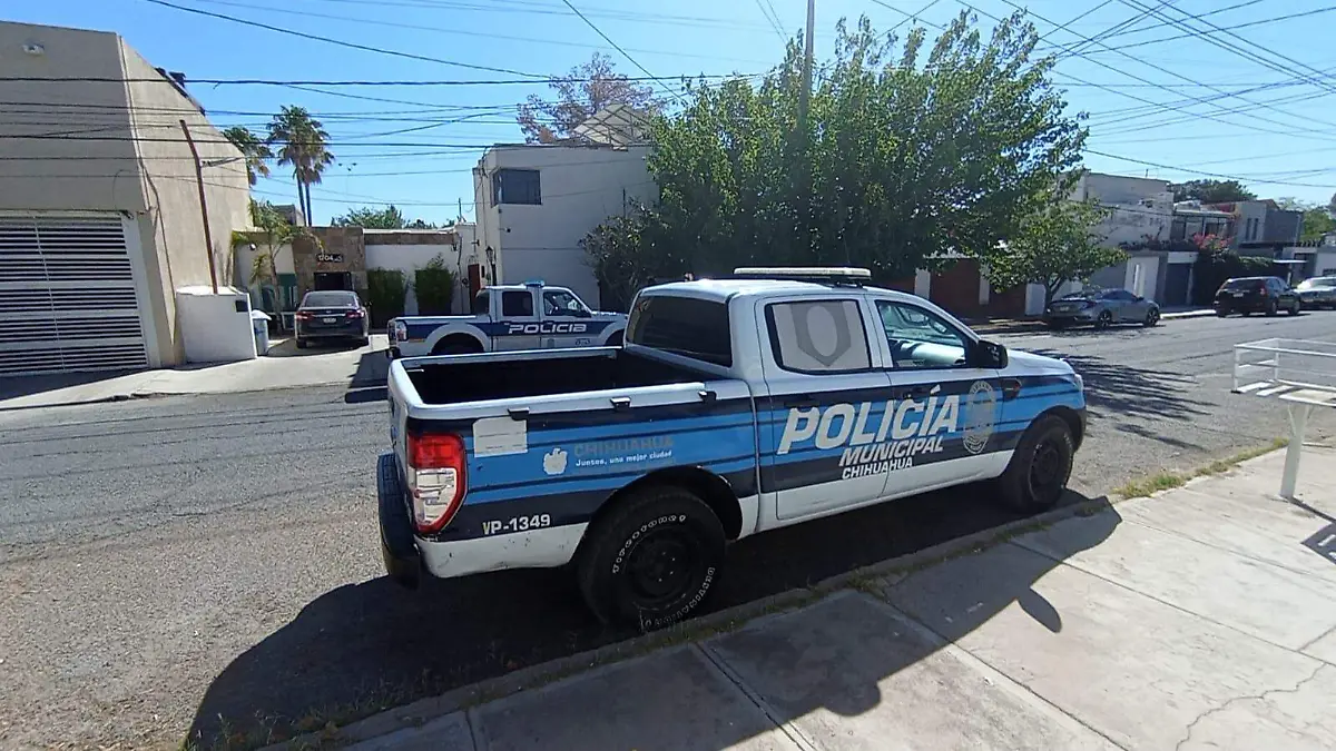 WhatsApp Image 2024-05-31 at 10.30.12 AM