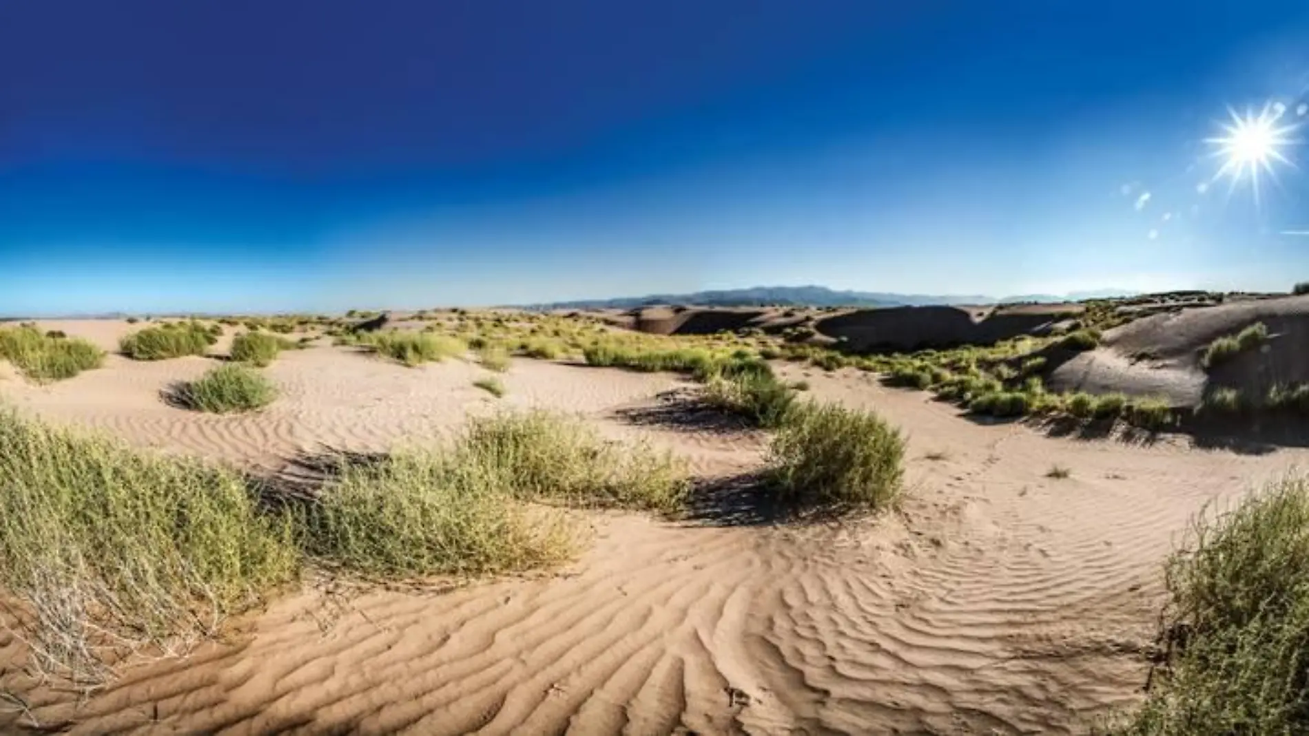 COAHUILA_VIESCA_DUNAS-DE-BILBAO