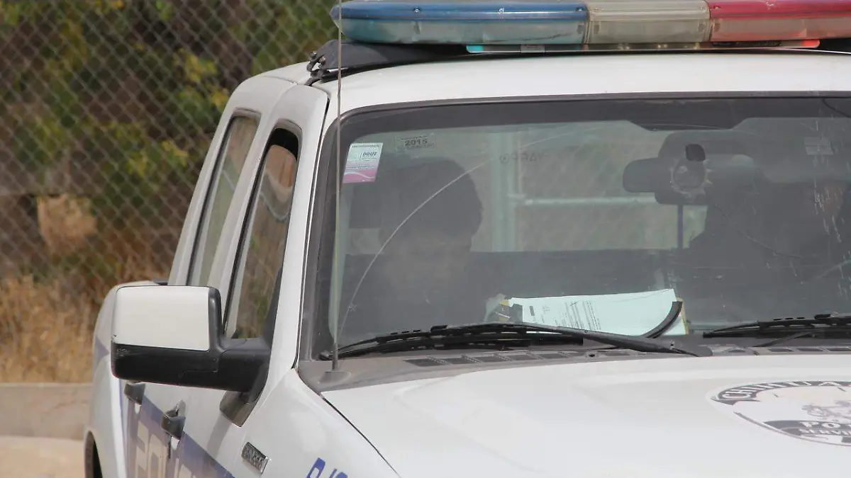 WhatsApp Image 2024-04-16 at 12.23.38 PM