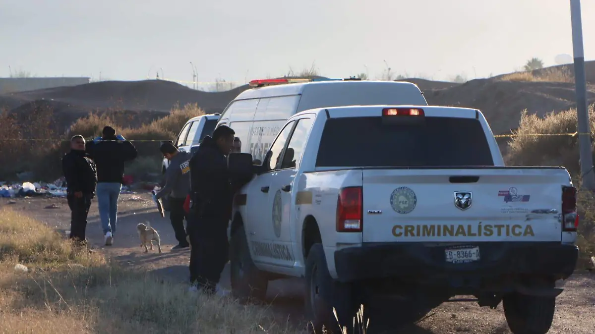 WhatsApp Image 2024-01-01 at 9.16.13 AM (1)