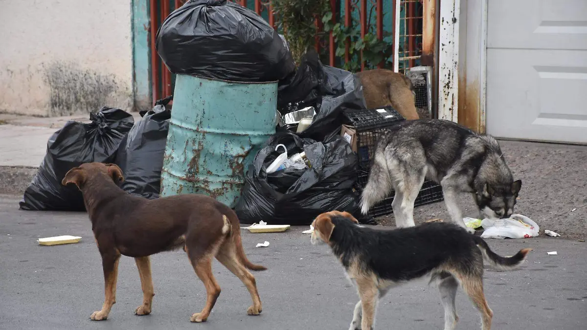 WhatsApp Image 2024-02-08 at 2.48.58 PM