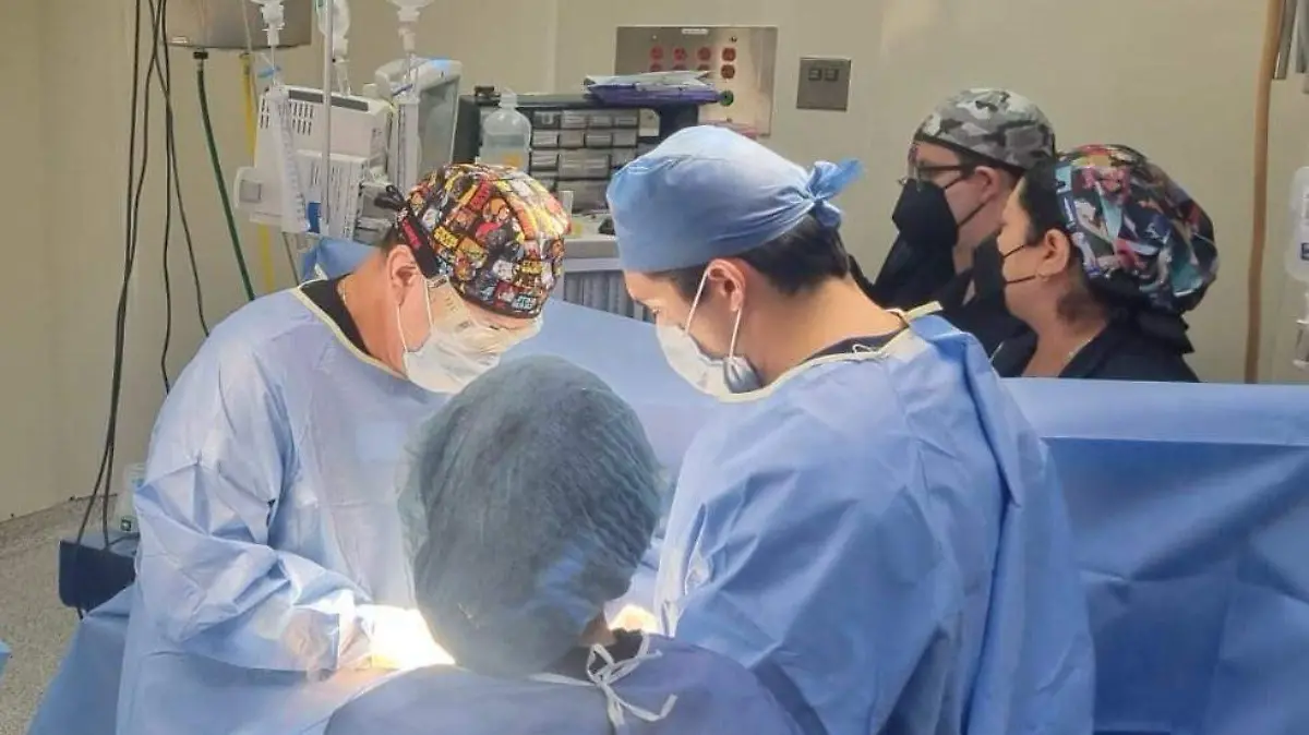 WhatsApp Image 2024-07-15 at 10.36.30 AM