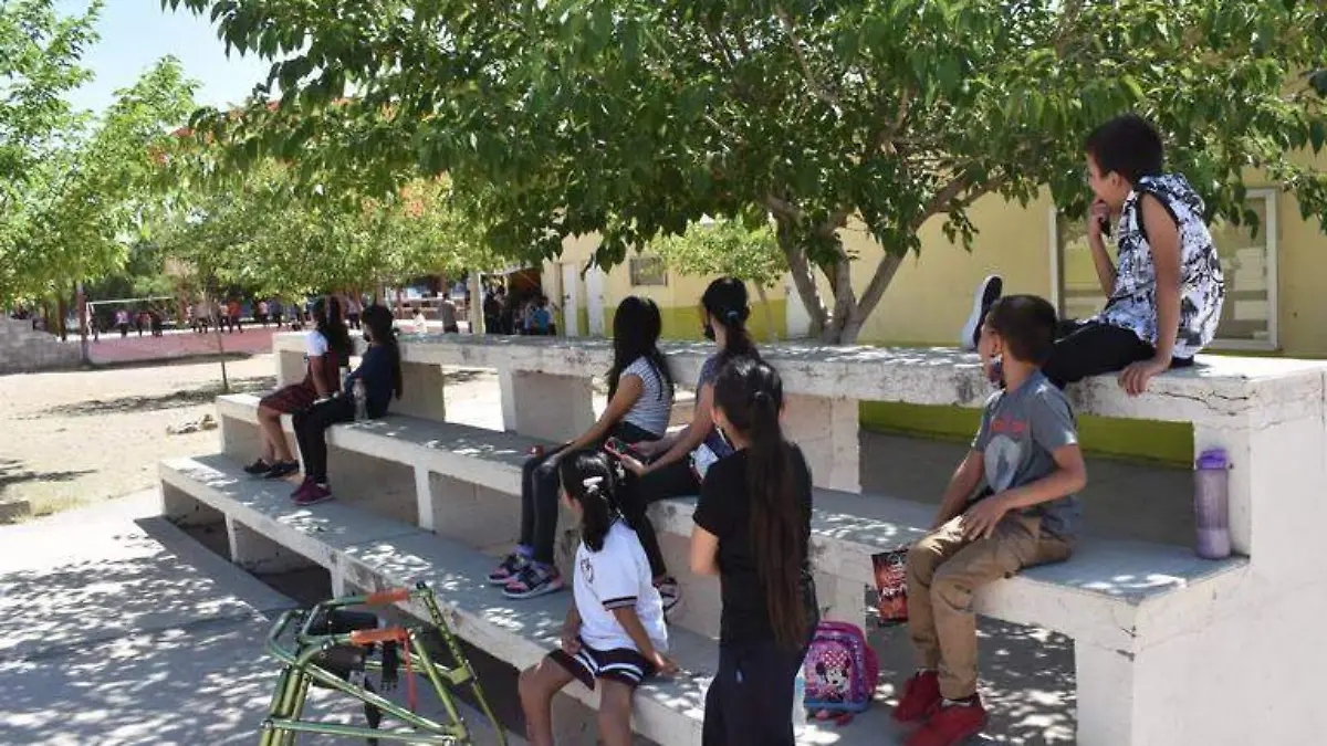 ALUMNOS SE REGUGIAN DEL CALOR Y SOL EN ARBOLES DE ESCUELA (2)