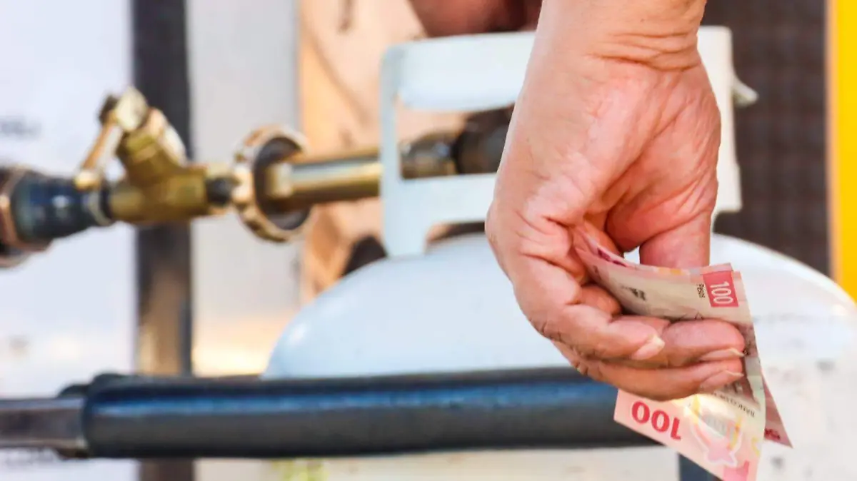 WhatsApp Image 2024-06-01 at 10.07.36 AM (1)