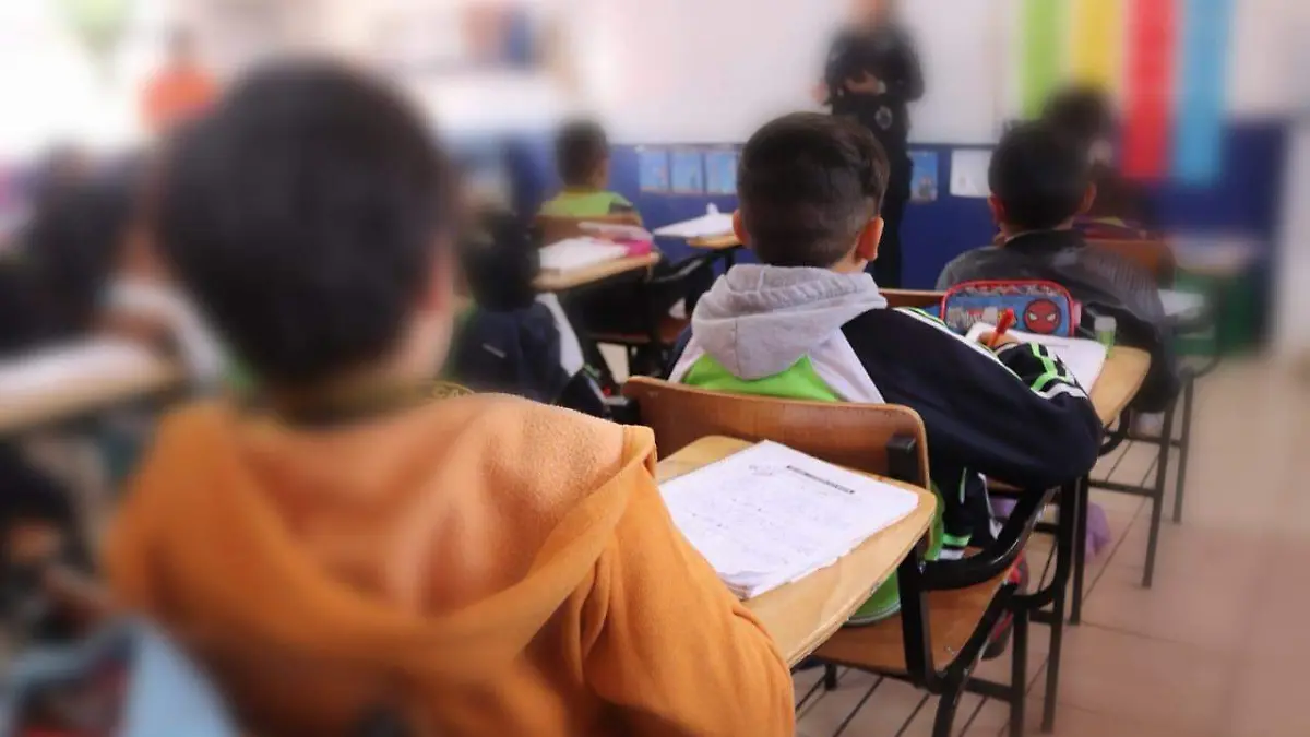 WhatsApp Image 2024-05-15 at 12.17.47 PM