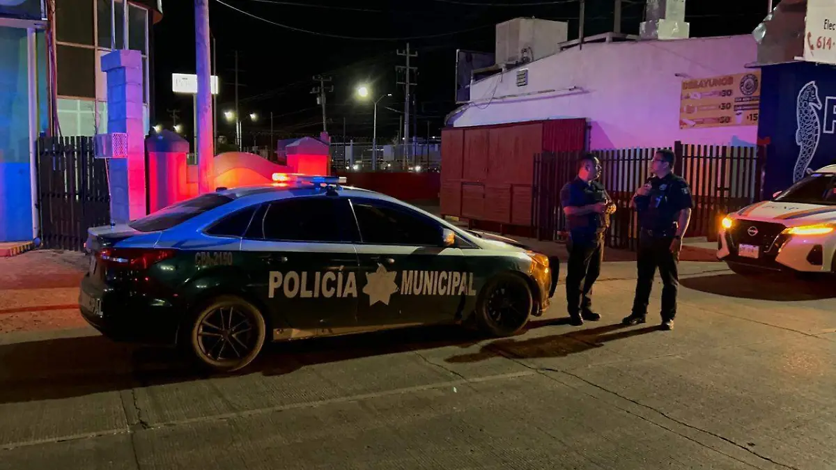 a10f1a0d-0e83-4c77-93f5-b2321cacff76