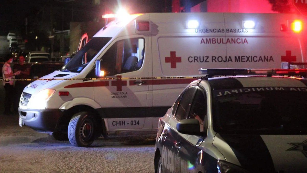 WhatsApp Image 2024-04-27 at 7.59.53 PM