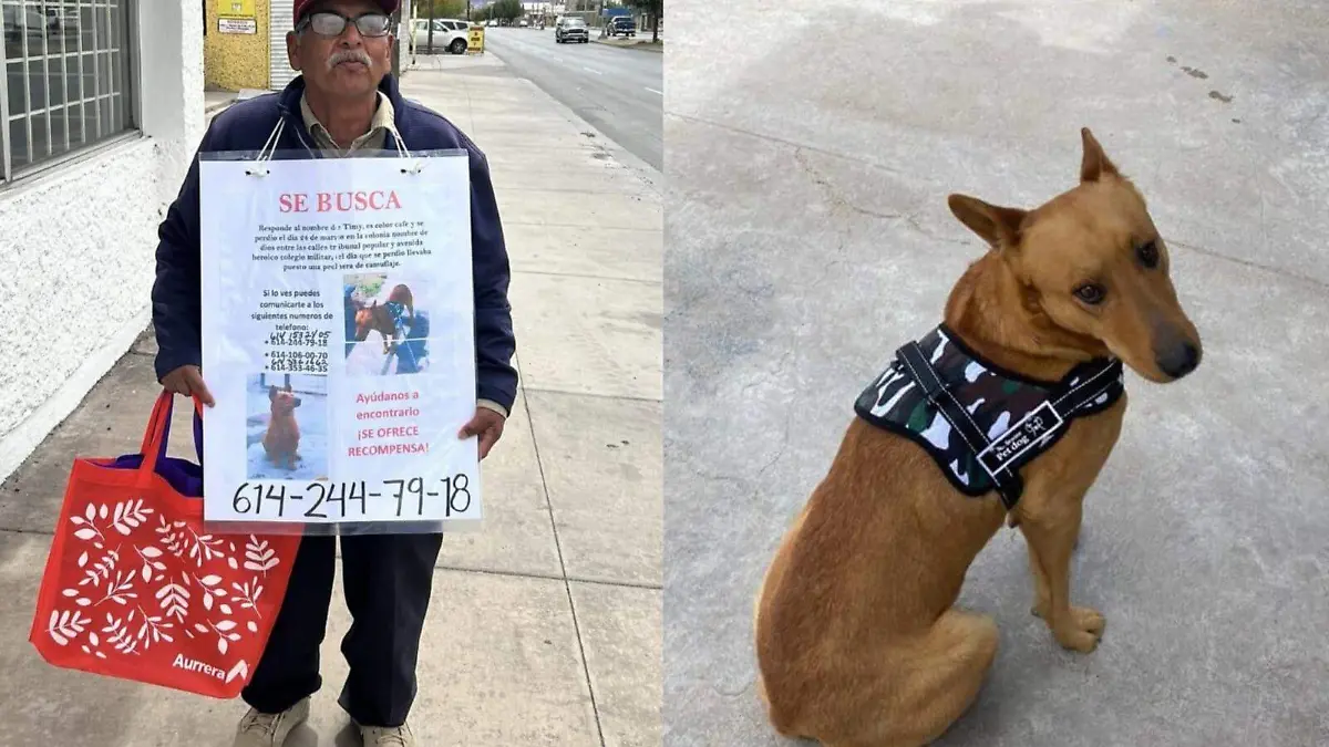 WhatsApp Image 2024-04-01 at 7.18.10 PM