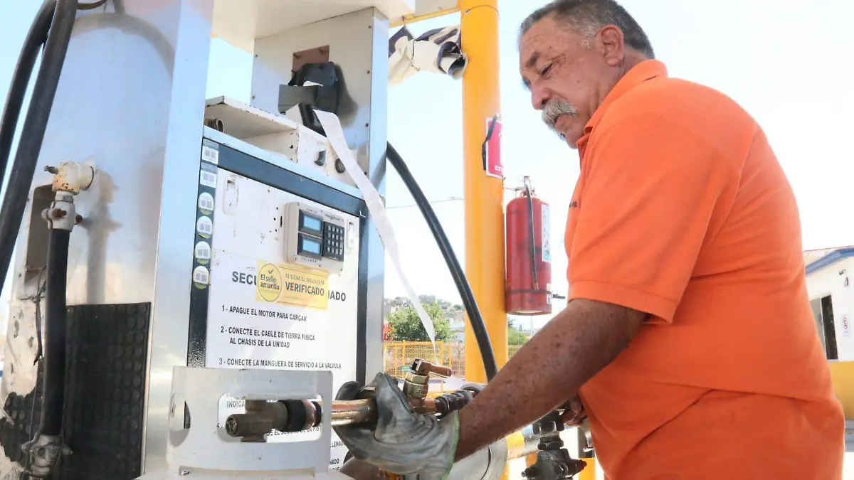 WhatsApp Image 2024-09-28 at 2.13.11 PM