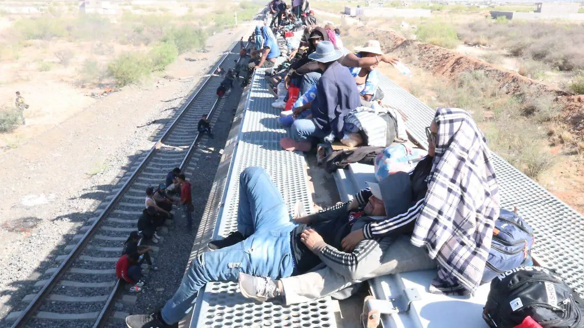 migrantes