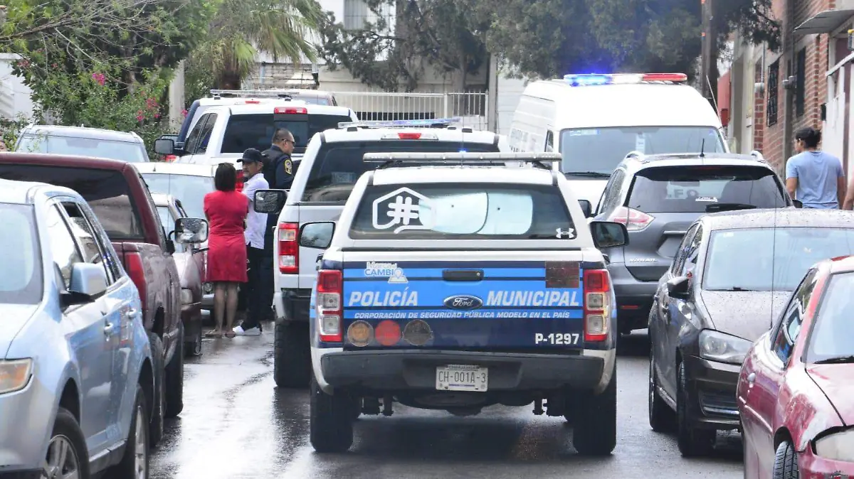 WhatsApp Image 2024-06-29 at 4.49.25 PM