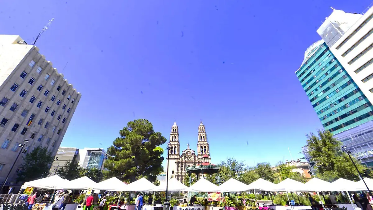 WhatsApp Image 2024-06-29 at 12.35.02 PM