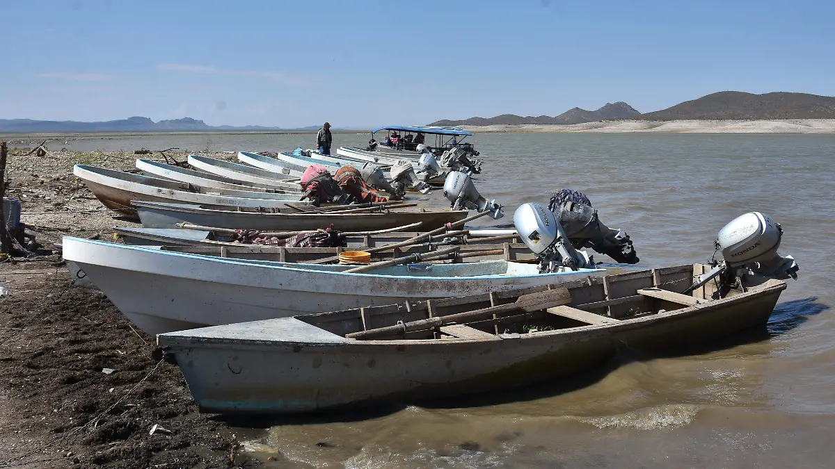 lanchas abandonadas (13)