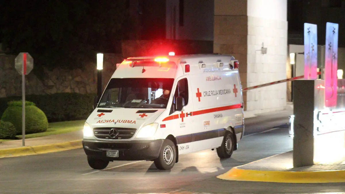 WhatsApp Image 2024-08-24 at 8.57.42 PM (2)