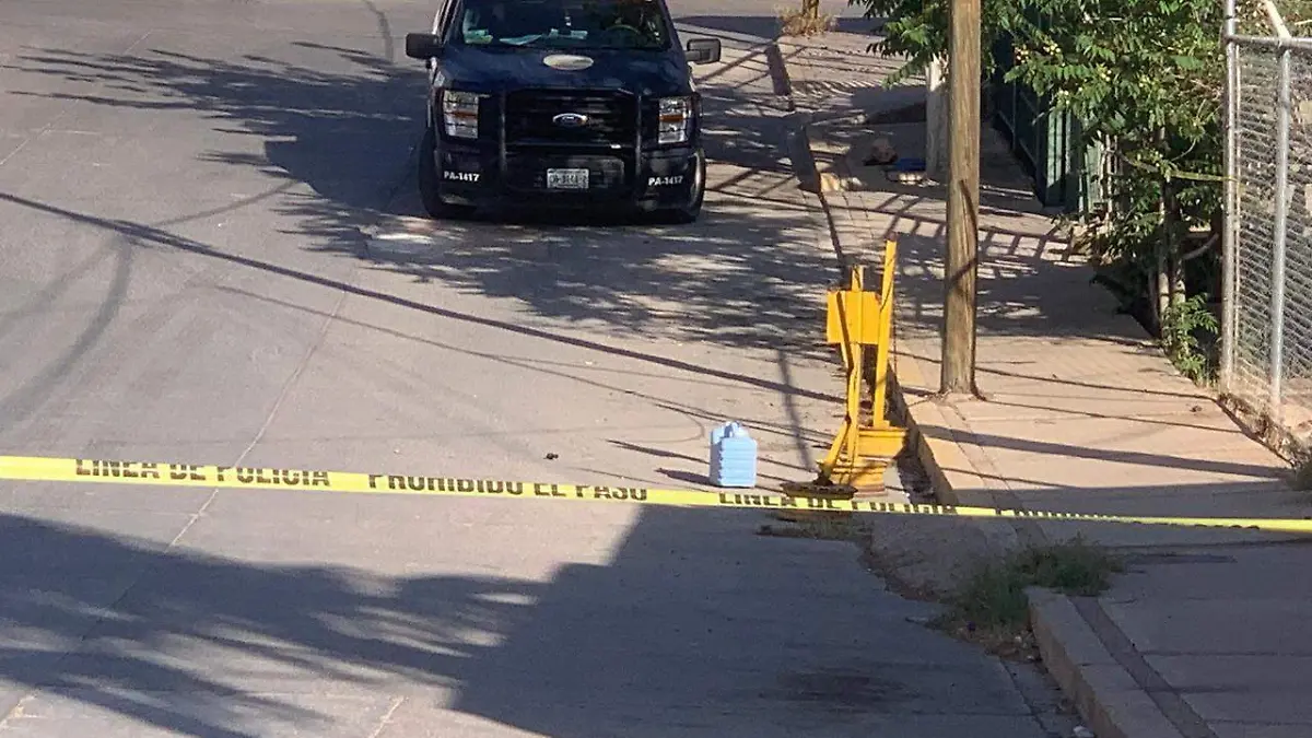 WhatsApp Image 2024-04-22 at 5.47.38 PM