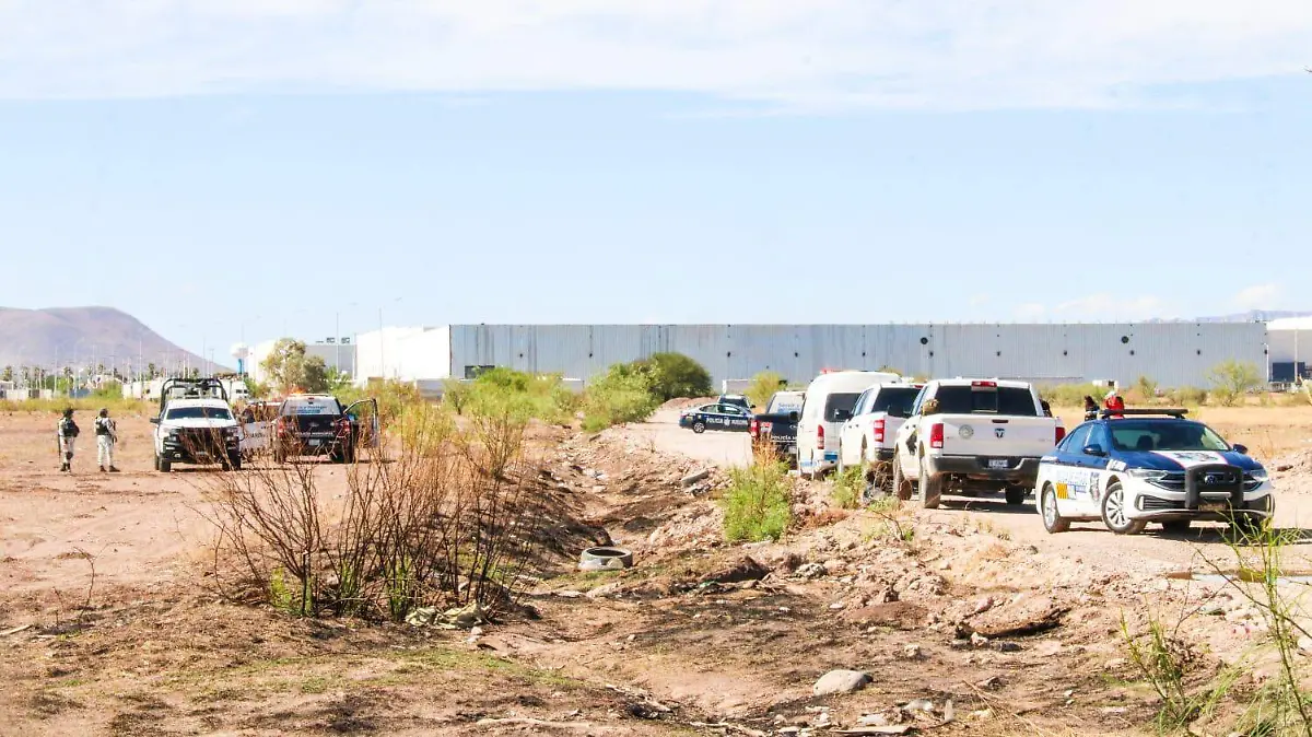 WhatsApp Image 2024-06-24 at 10.03.12 AM