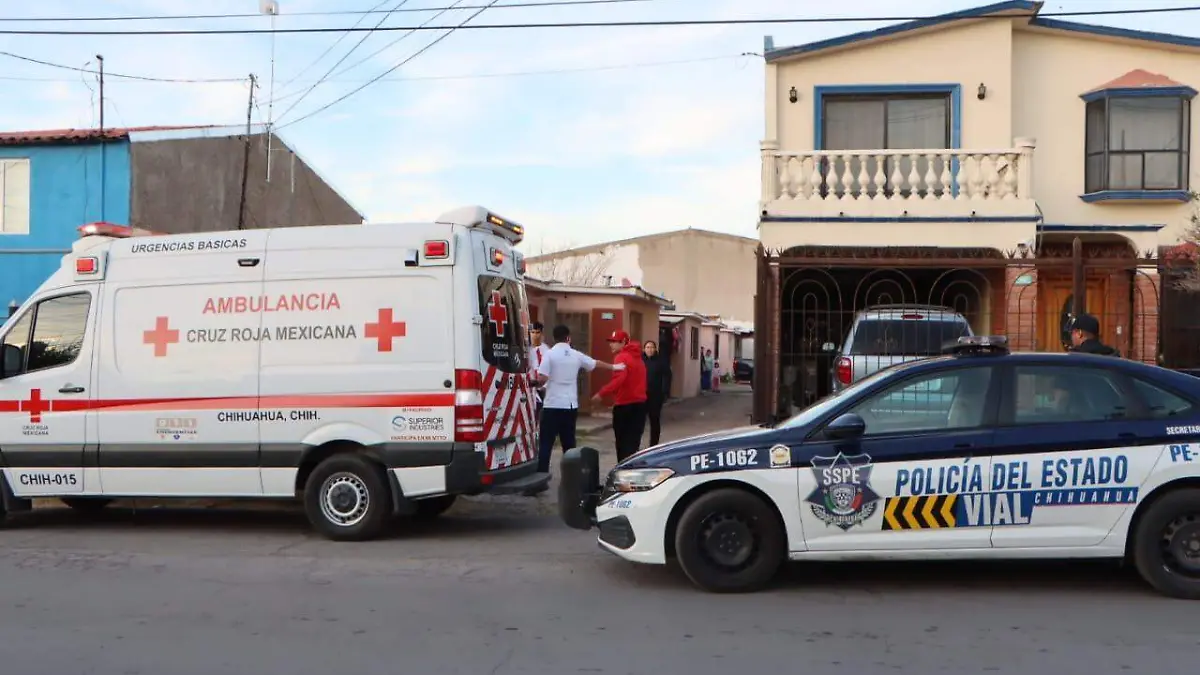 WhatsApp Image 2024-01-29 at 6.51.12 PM (1)