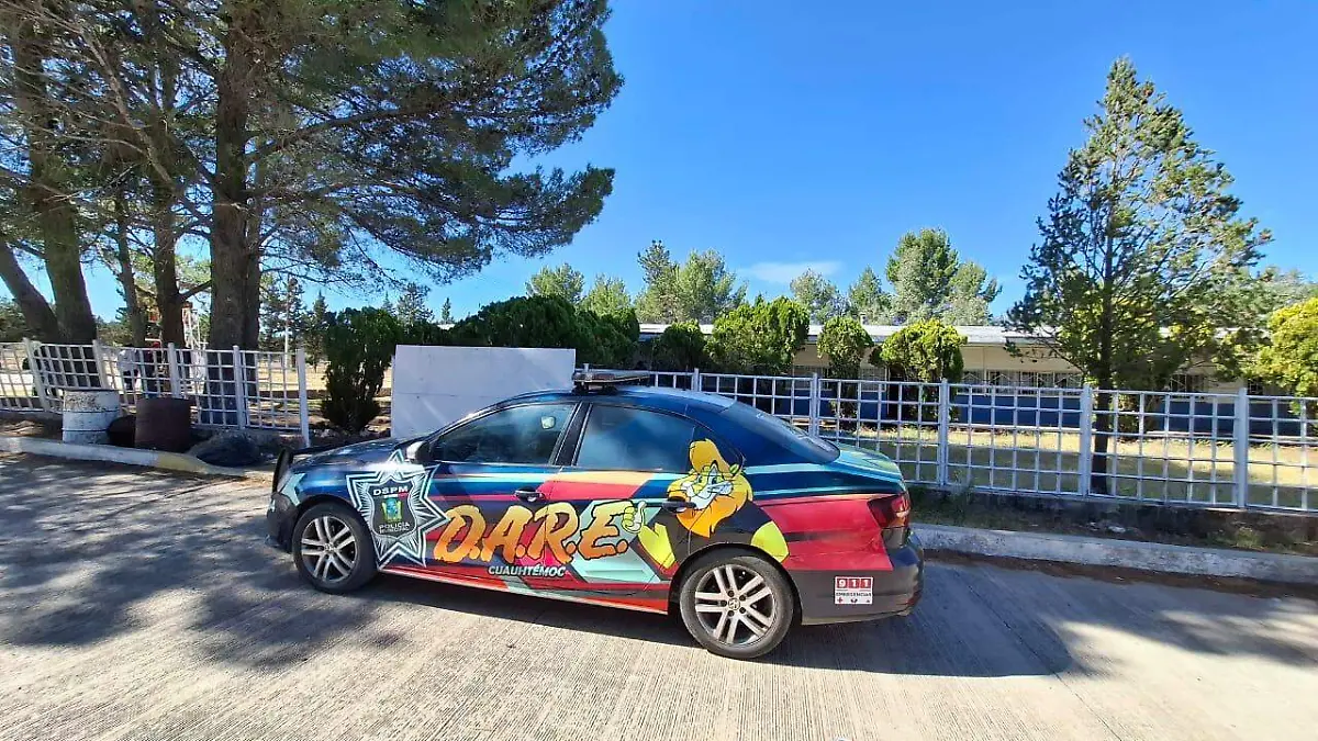 WhatsApp Image 2024-10-20 at 12.16.06 PM (1)