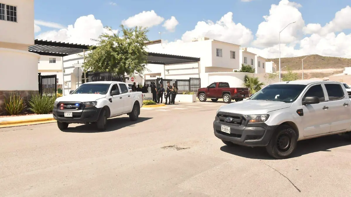 WhatsApp Image 2024-07-13 at 12.23.44 PM