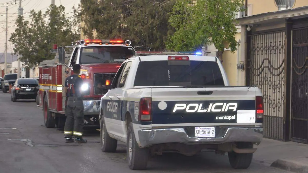 WhatsApp Image 2024-04-06 at 7.48.50 PM