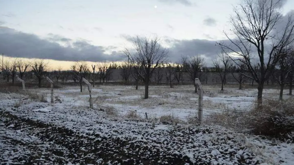 WhatsApp Image 2023-12-20 at 2.33.23 PM