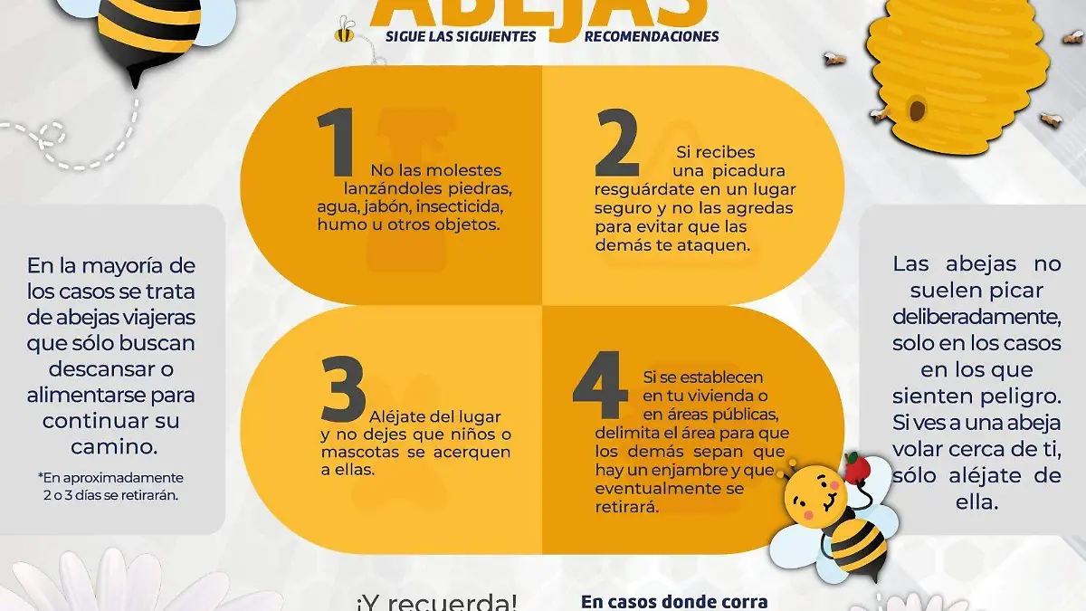 Abejas