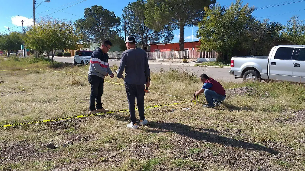 WhatsApp Image 2024-03-08 at 1.51.46 PM