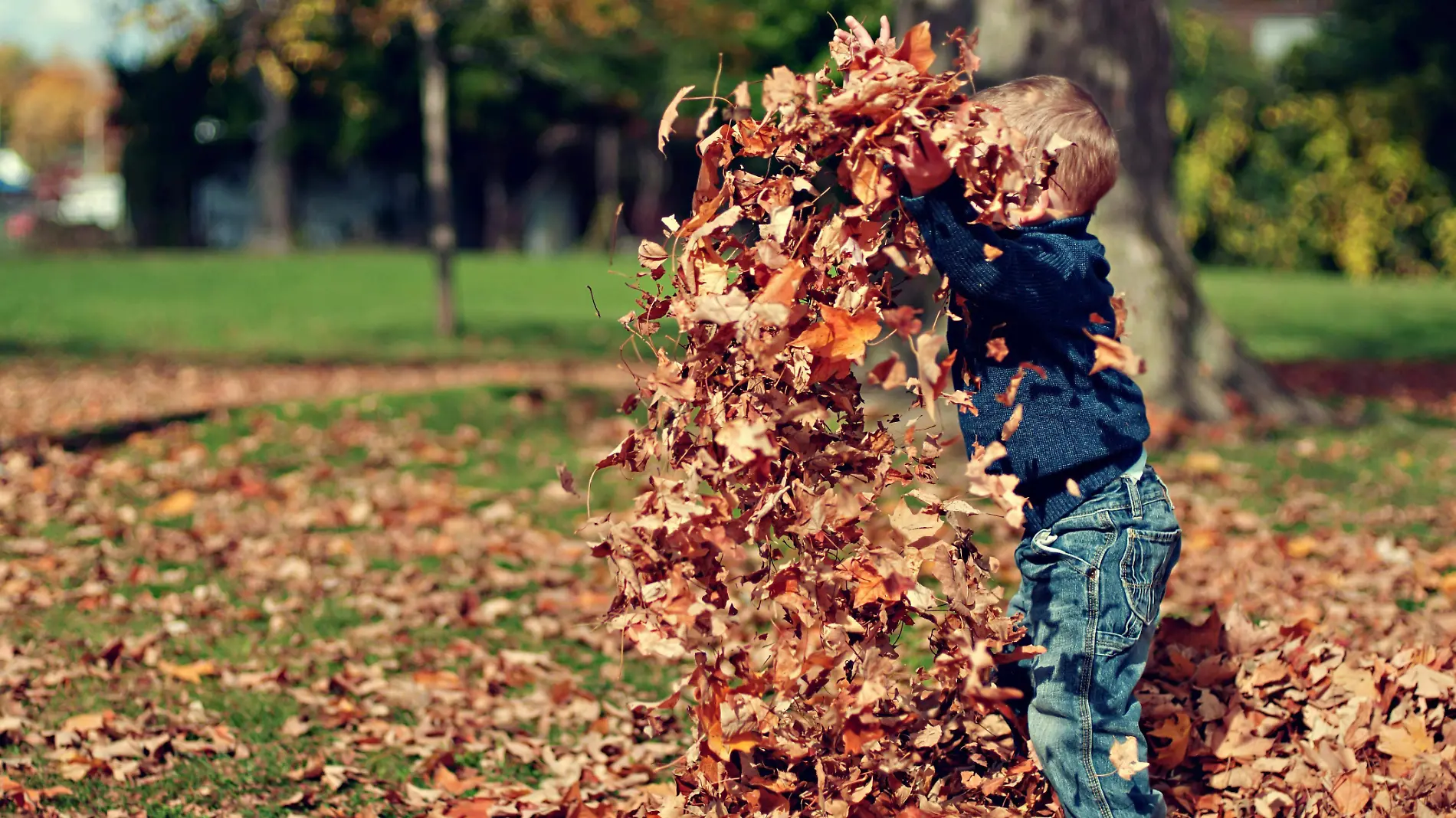 OTOÑO