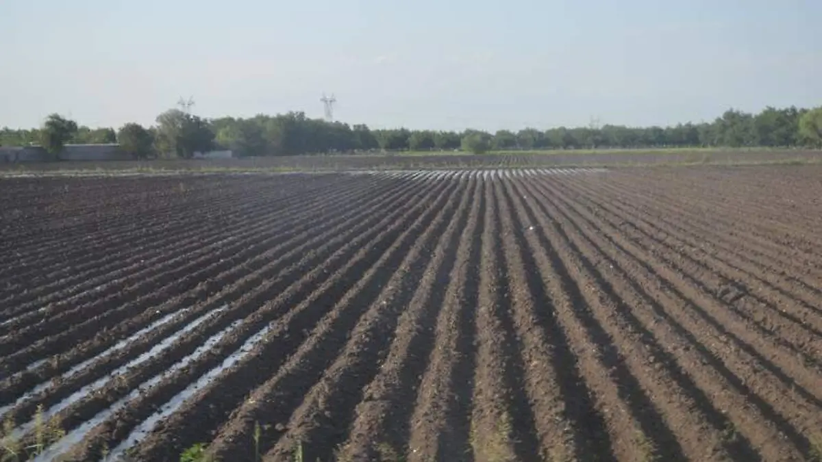 productores agrícolas