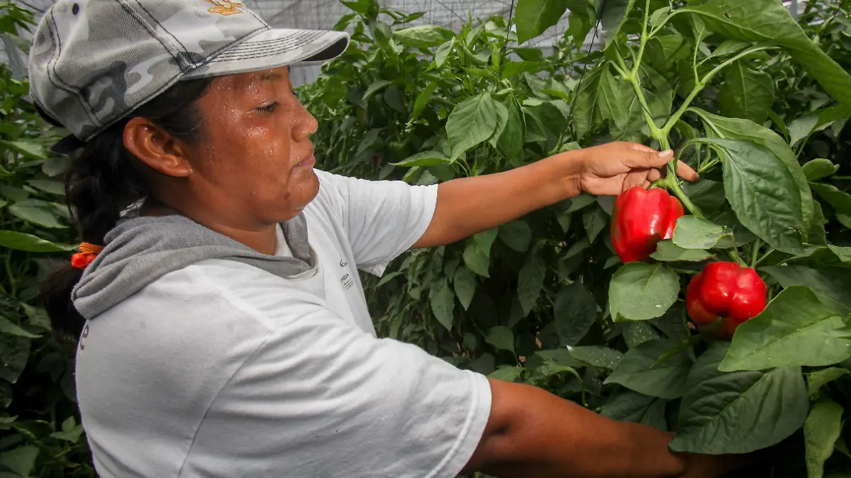 726917_Día de la Mujer Rural-2_impreso